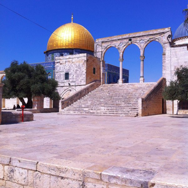 nour-tayeh-NEe9Vs67pF0-unsplash